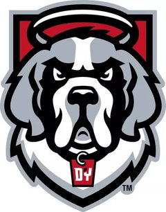 D`Youville University