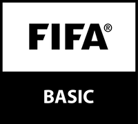Approved by Fifa logo